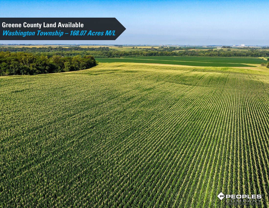 Listing Photo: Greene-County-Land-Available-168-Acres-19616 (10)